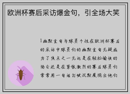 欧洲杯赛后采访爆金句，引全场大笑
