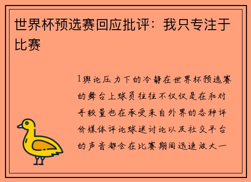 世界杯预选赛回应批评：我只专注于比赛